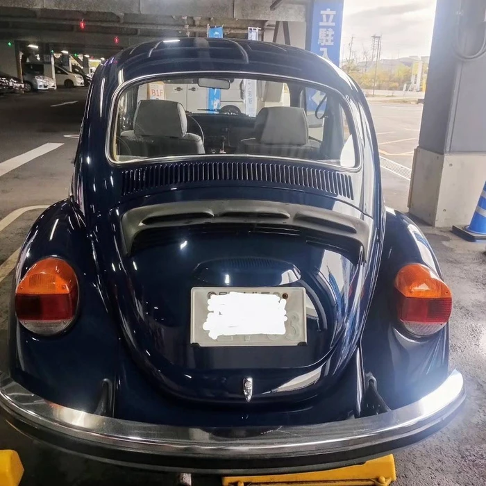画像289