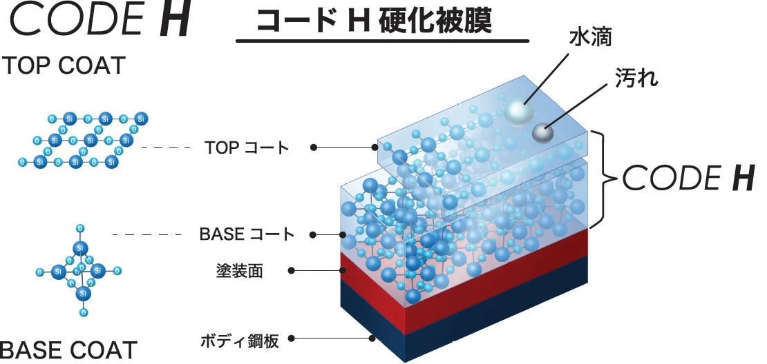 wonderex