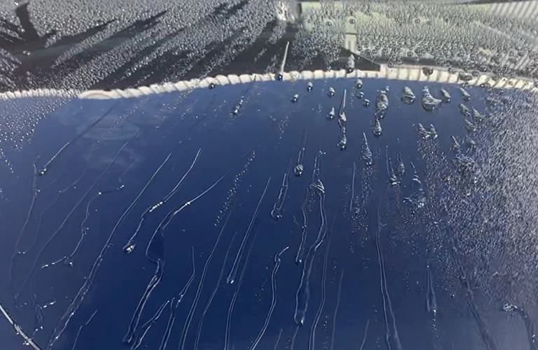 愛知で最高の洗車技術を体験しませんか？